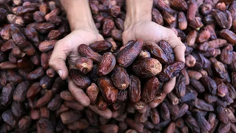 تصویر 2 از خرما مضاقتی طلایی با بافت لطیف و رنگ ویژه